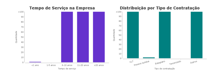 grafico-demografico-tempo-servico-tipo-contrato